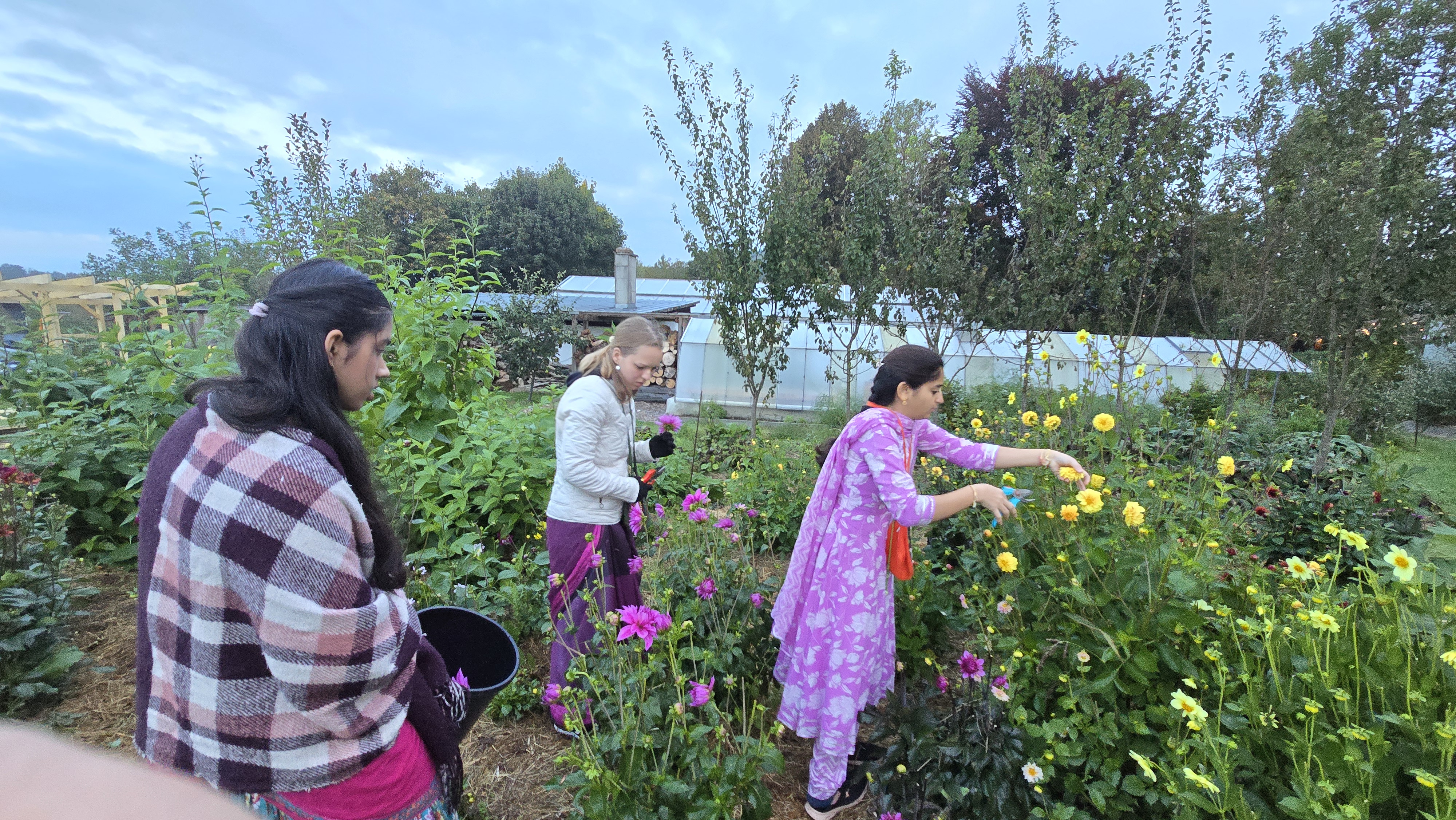seva garden